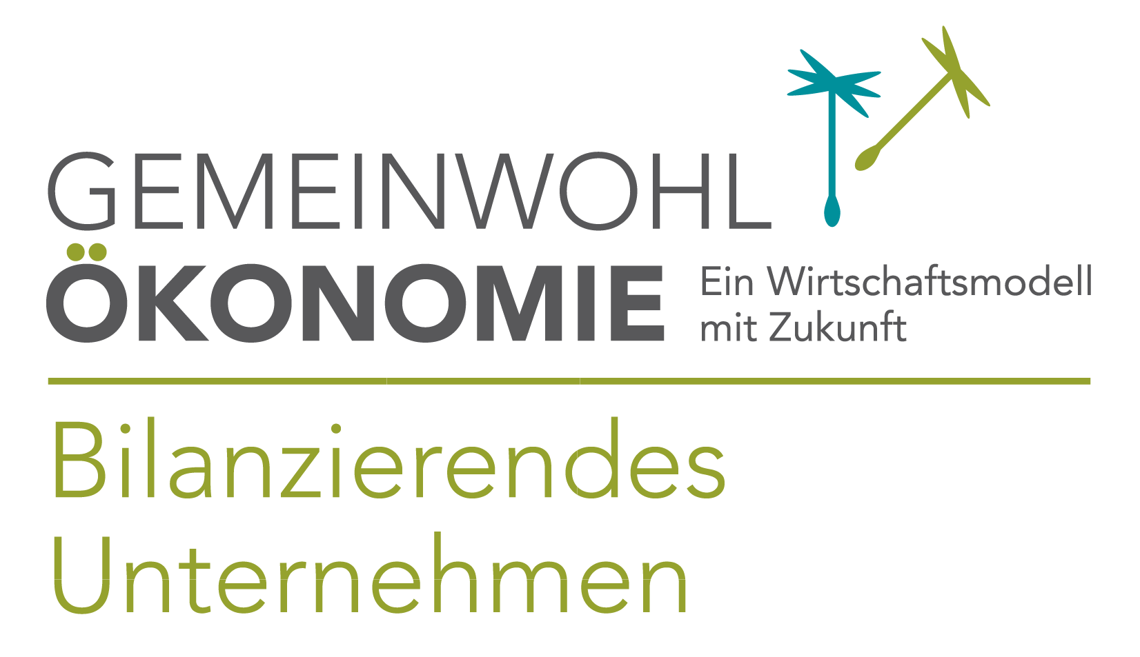 Gemeinwohlökonomie Bilanziertes Unternehmen